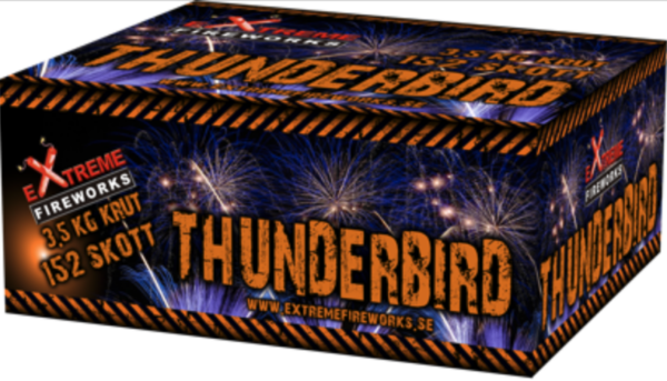 Extreme Fireworks Thunderbird